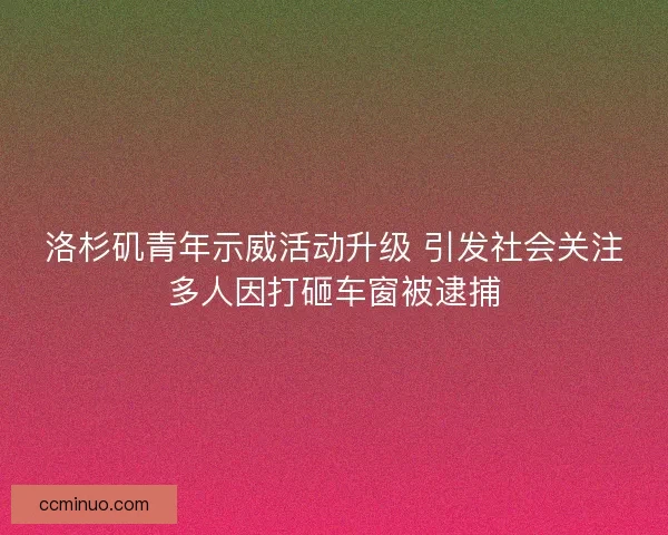 洛杉矶青年示威活动升级 引发社会关注多人因打砸车窗被逮捕