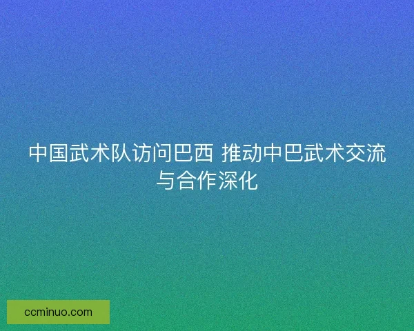 中国武术队访问巴西 推动中巴武术交流与合作深化